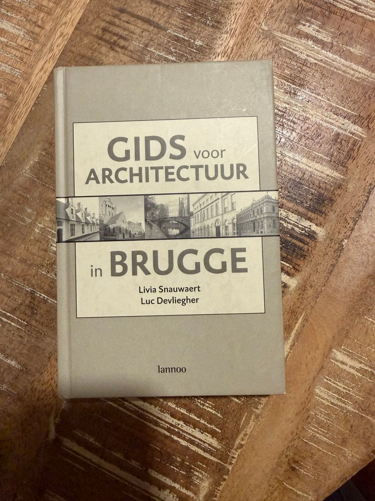Gids voor architectuur in Brugge - Snauwaert/Devliegher, Boeken, Ophalen of Verzenden, Zo goed als nieuw, Architectuur algemeen