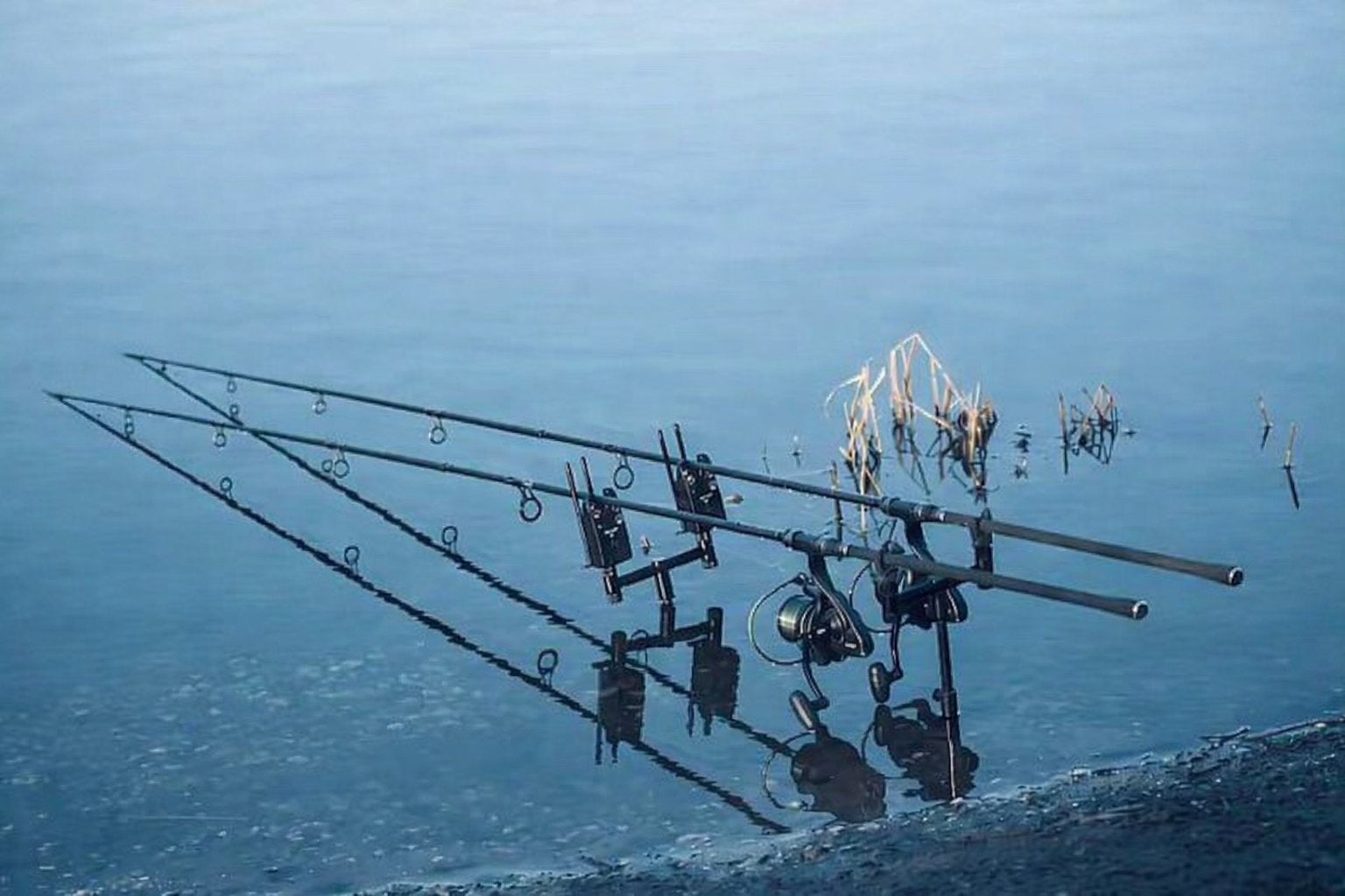 Complete karper set: Delkim, Shimano, Daiwa en meer!, Ophalen, Gebruikt, Complete set