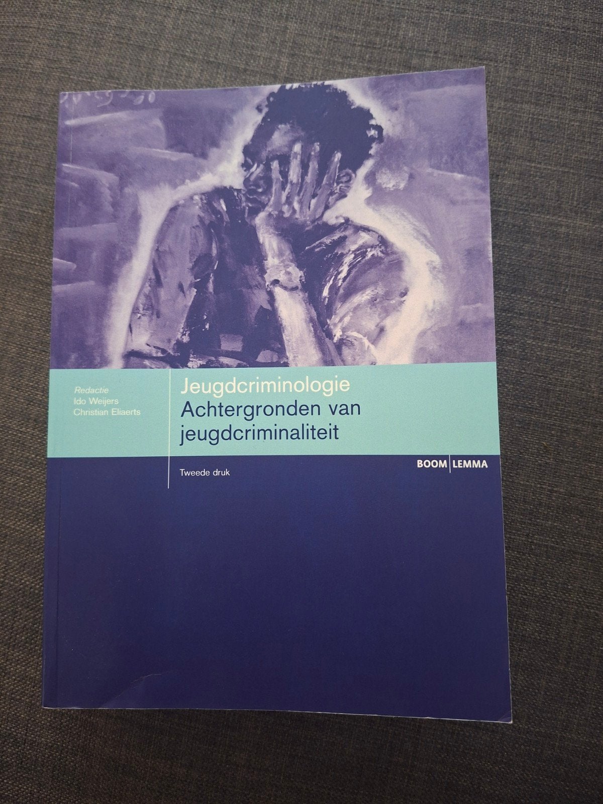 Jeugdcriminologie: Achtergronden van jeugdcriminaliteit, Boeken, Ophalen of Verzenden, Gamma, Christian Eiselts, WO