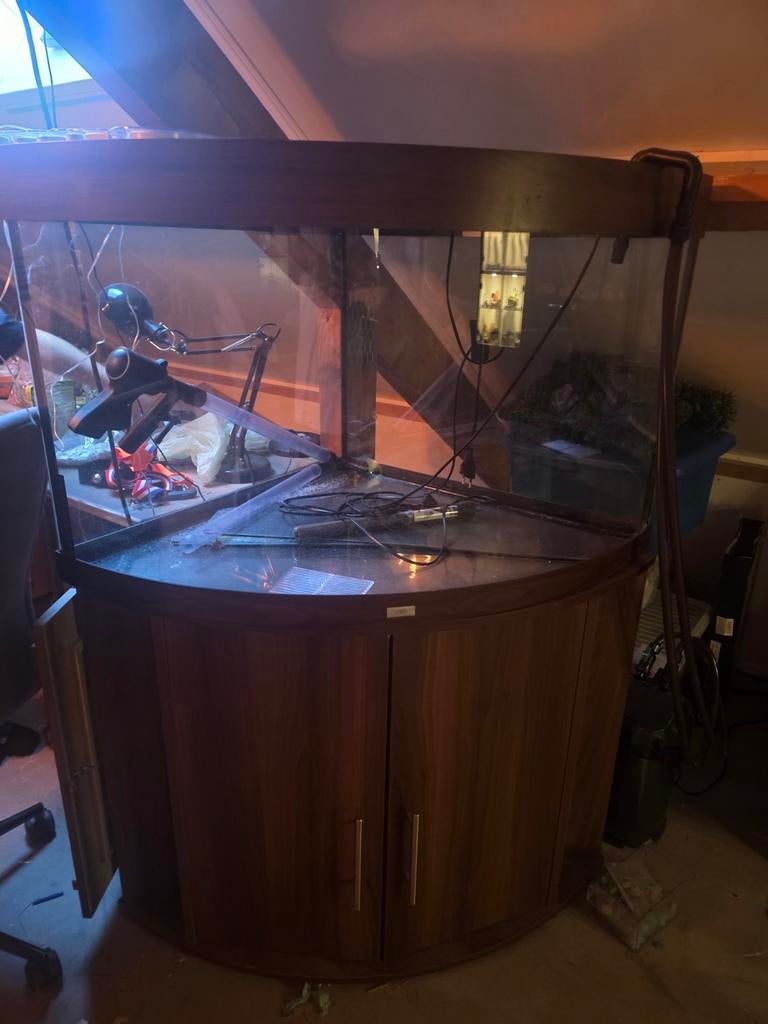 Juwel hoek aquarium 350 liter met toebehoren, Dieren en Toebehoren, Vissen | Aquaria en Toebehoren, Ophalen, Zo goed als nieuw