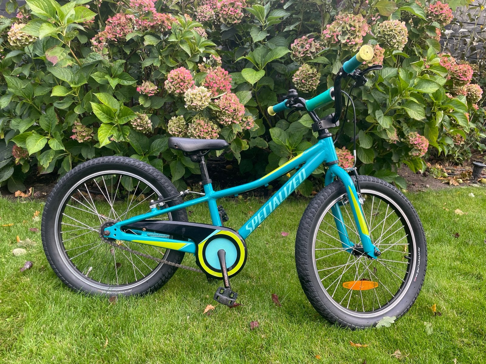 Specialized Riprock 20 inch kinderfiets (4-6 jaar) MTB, Fietsen en Brommers, Fietsen | Kinderfietsjes, Gebruikt, 20 inch of meer