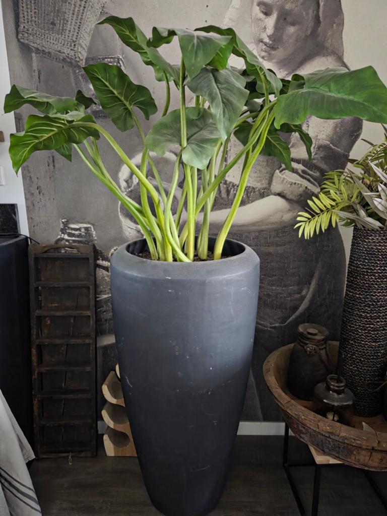 Zijden plant met grote zware stenen pot - 170 cm hoog, Binnen, Groen, Onderhoudsvrij, Kunstplant