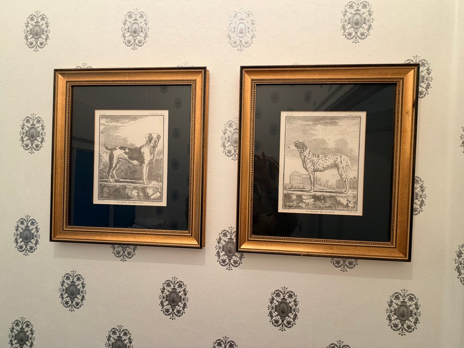 Set van 4 antieke gravures: Honden en Vazen, ingelijst, Ingelijst, Ophalen of Verzenden, Gravure, Flora en Fauna