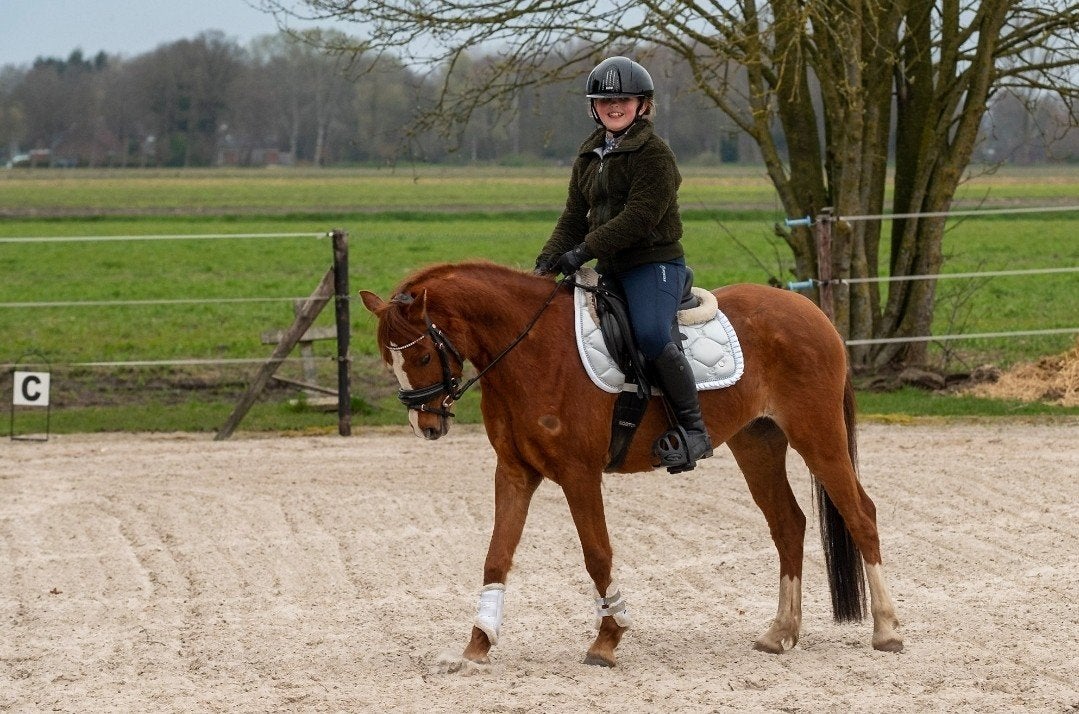 Lieve Welsh merrie – Stoak Trefelyn, Dieren en Toebehoren, Pony's, B, Dressuurpony, 3 tot 6 jaar, C pony (1.27m tot 1.37m)