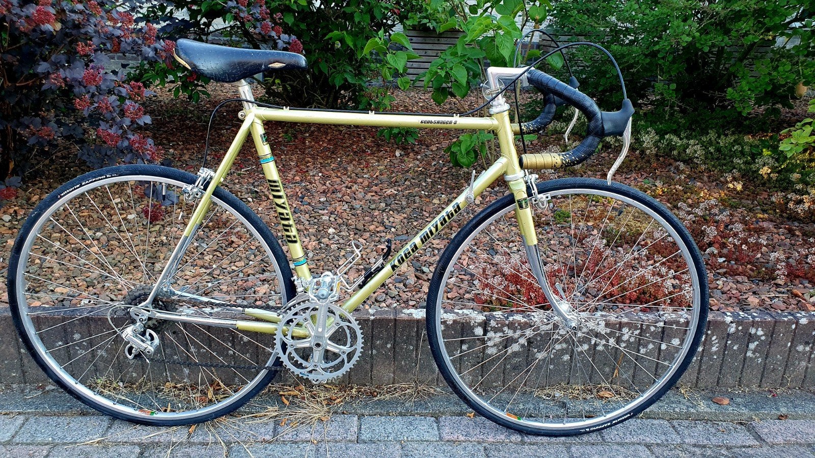 koga miyata gent's racer s fr 56 arabesque parts retro toer, Ophalen, 28 inch, Gebruikt, Velgrem