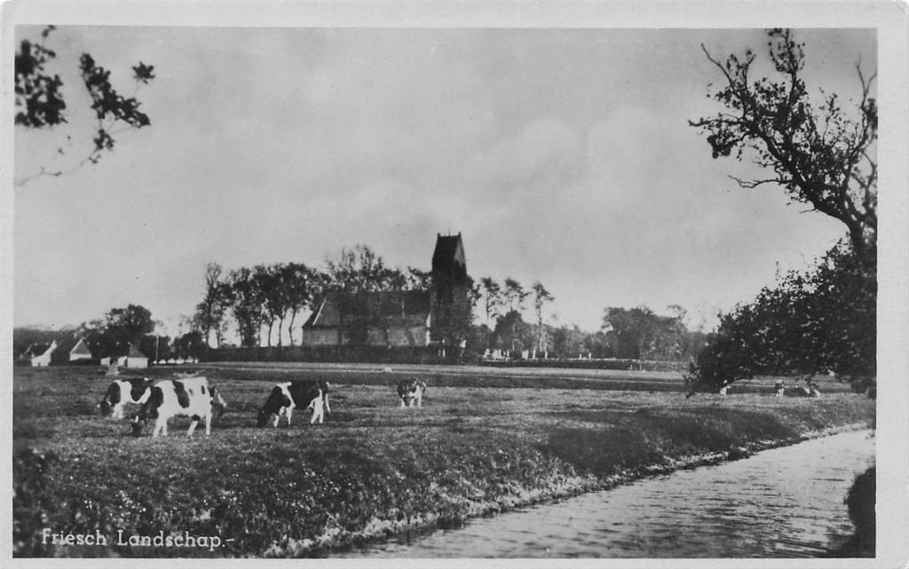 703-038-011 Friesch Landschap Hotel Princenhof Eernewoude (, Verzenden, Voor 1920, Friesland