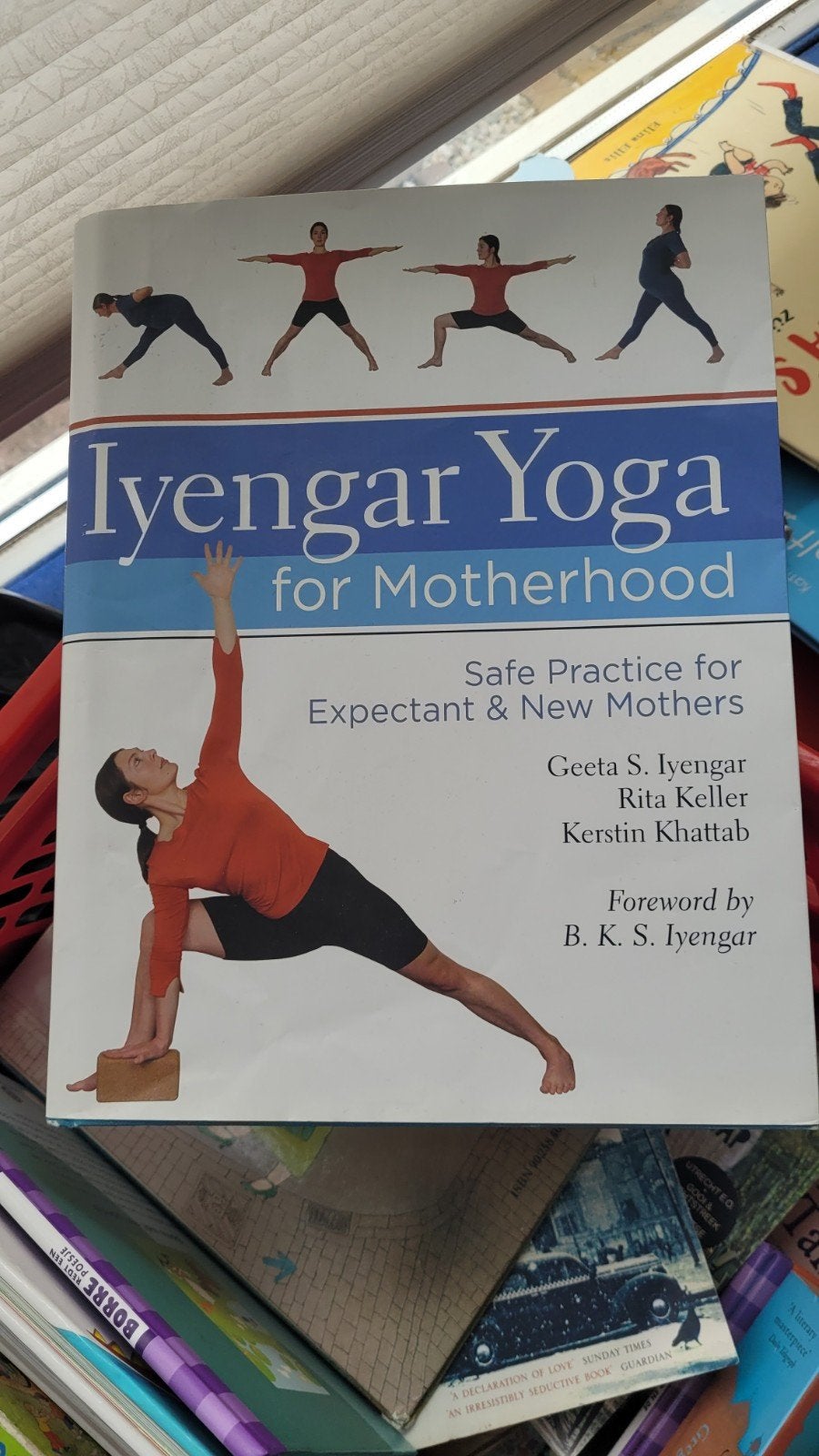Iyengar Yoga voor Moederschap -, Boeken, Ophalen of Verzenden, Gelezen, Zwangerschap en Bevalling, Geeta S. Iyengar, Rita Keller, Kerstin Khattab