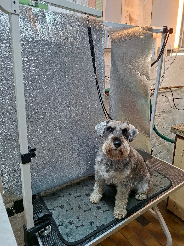 Klembeugel kleine en medium hond, Dieren en Toebehoren, Ophalen, Gebruikt, Trimtafel