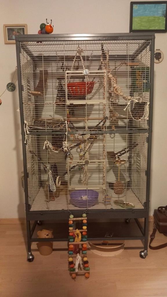 Grote Rattenkooi, Dieren en Toebehoren, Ophalen, Kooi, Hamster, Zo goed als nieuw