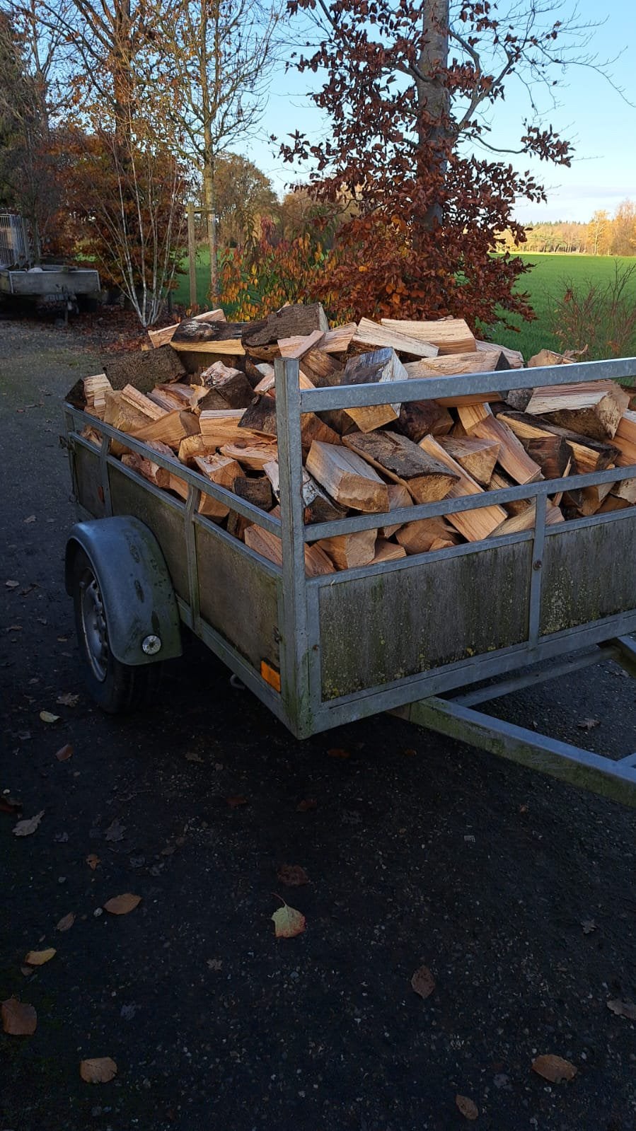 Te koop mooi haardhout., Minder dan 3 m³, Ophalen of Verzenden