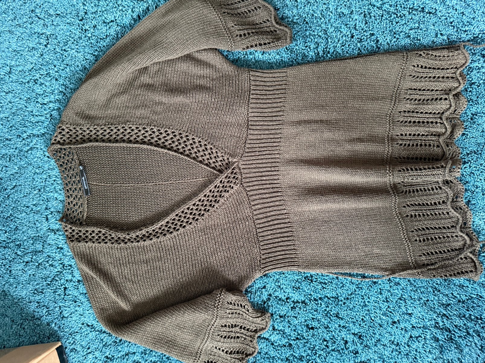 Passport trui dames maat 40, Kleding | Dames, Ophalen of Verzenden, Zo goed als nieuw, Maat 38/40 (M)
