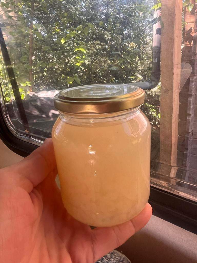 Waterkefir korrels., Ophalen