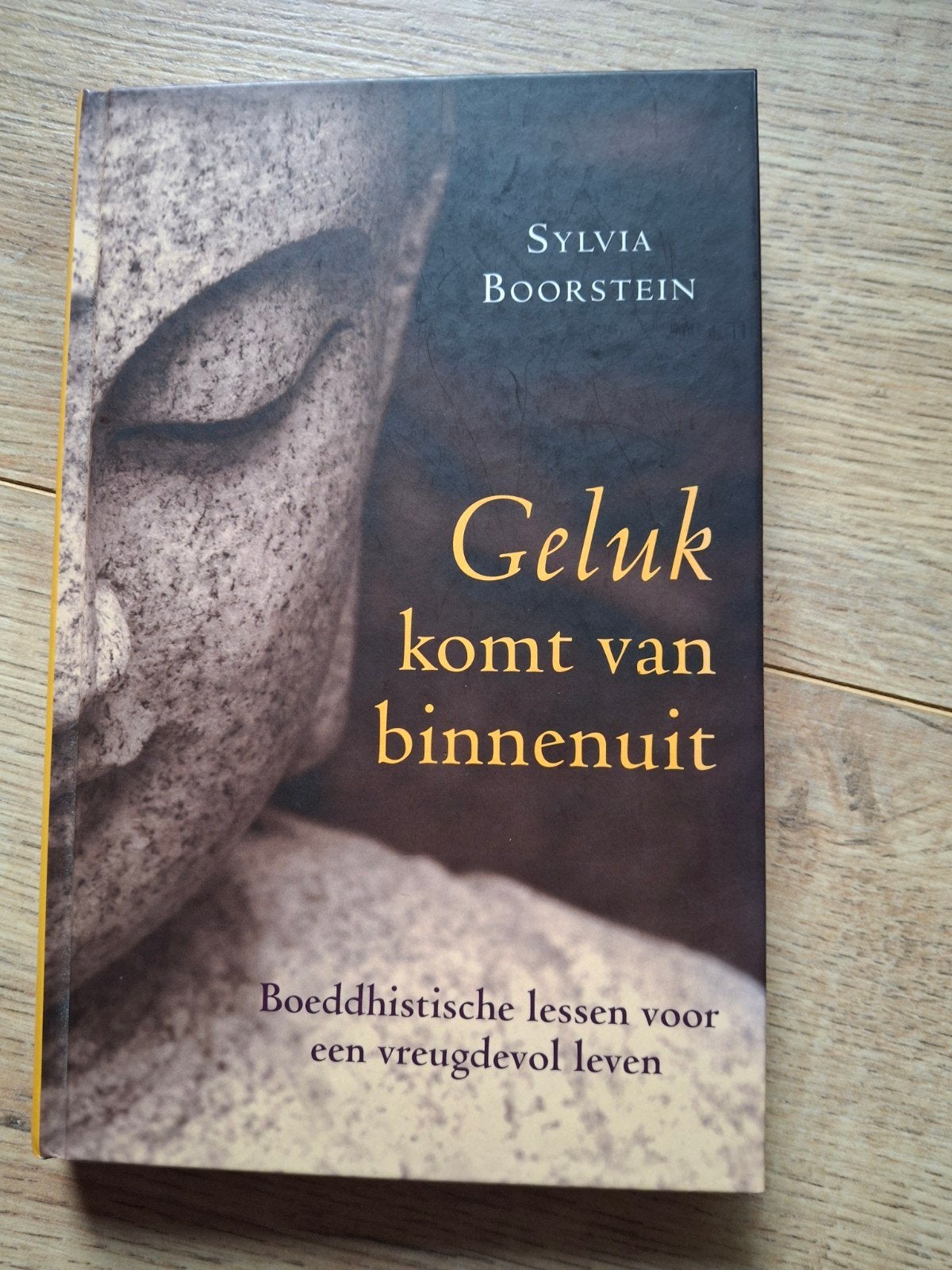 Sylvia Boorstein - Geluk komt van binnenuit, Ophalen of Verzenden, Zo goed als nieuw, Sylvia Boorstein