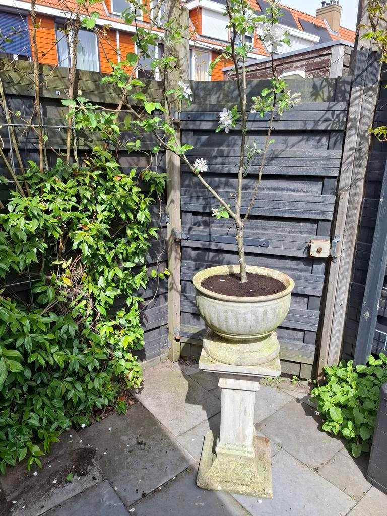 Grote stenen bloempot op sokkel - Klassiek design, Tuin en Terras, Bloempotten, Ophalen, Steen, Gebruikt, 40 cm of meer