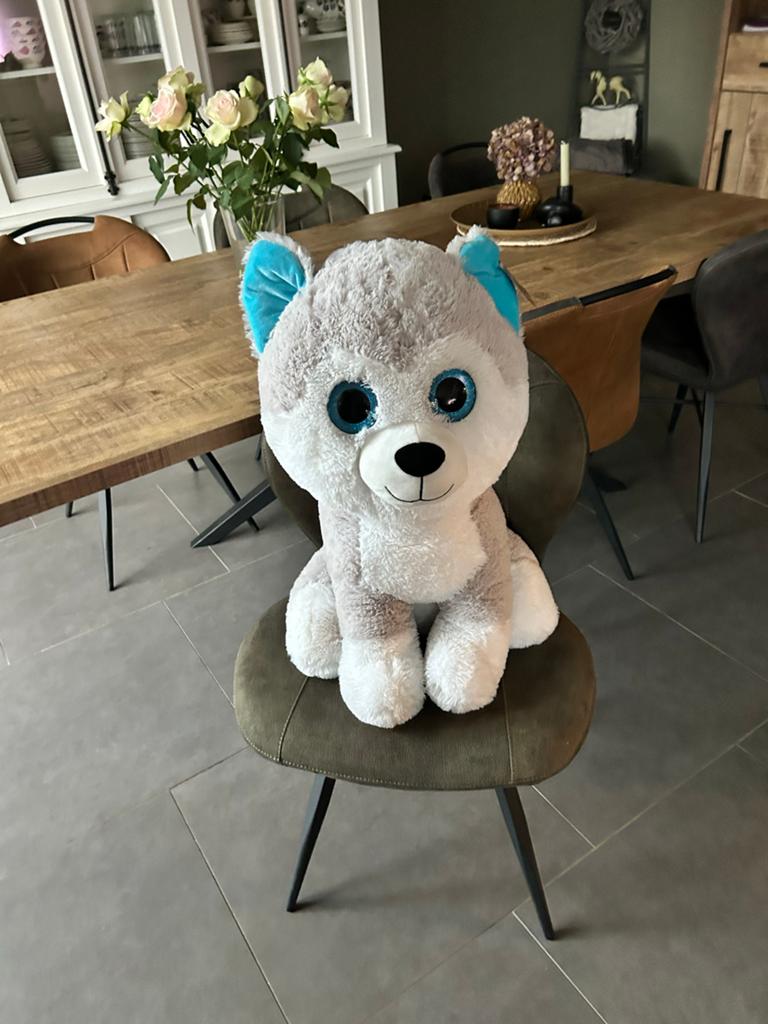 Grote zachte husky met blauwe oren en ogen 75 cm hoog., Overige karakters, Grijs, Nieuw, Met label