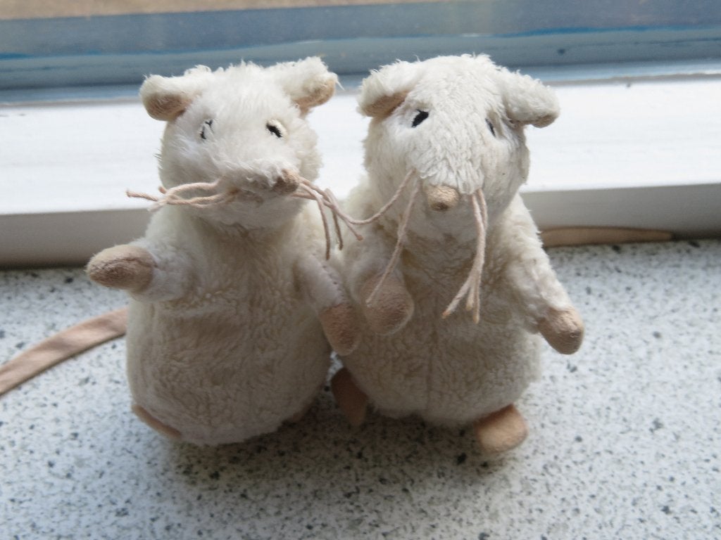 Wit velours muis muisje rat ratje van IKEA zalmroze staartje, Kinderen en Baby's, Speelgoed | Knuffels en Pluche, Muis, IKEA, Ophalen of Verzenden