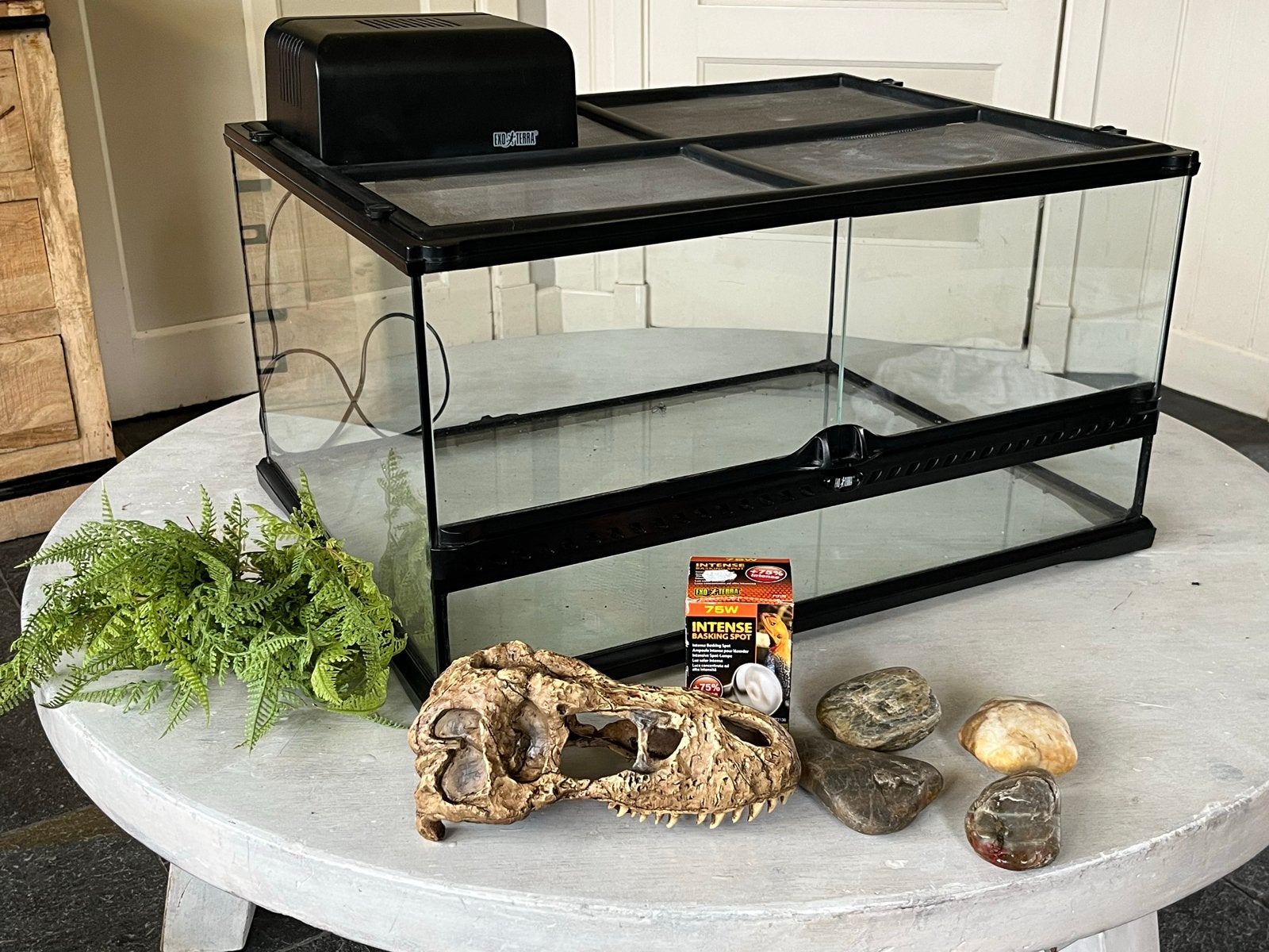 Exo Terra 60x45x30, Dieren en Toebehoren, Ophalen of Verzenden, Gebruikt, Terrarium of Paludarium