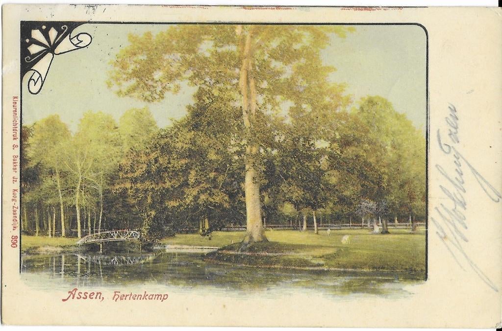 Assen, Hertenkamp, brug, vijver, Verzenden, Voor 1920, Gelopen, Drenthe