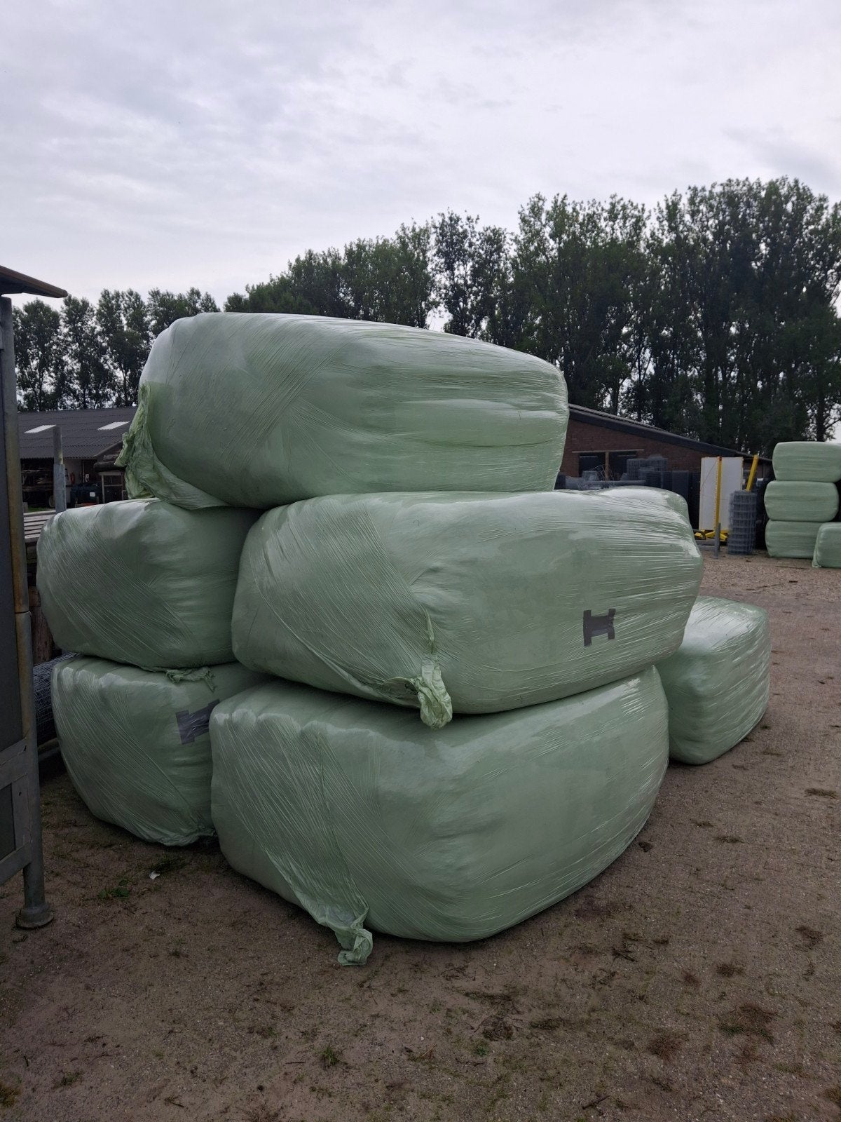 vierkante balen kuilgras gesnede, Ophalen