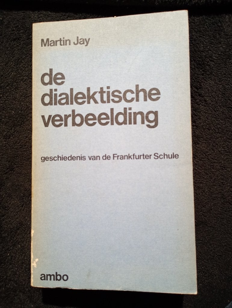 Martin Jay, De dialektische verbeelding, Ophalen of Verzenden, Gelezen