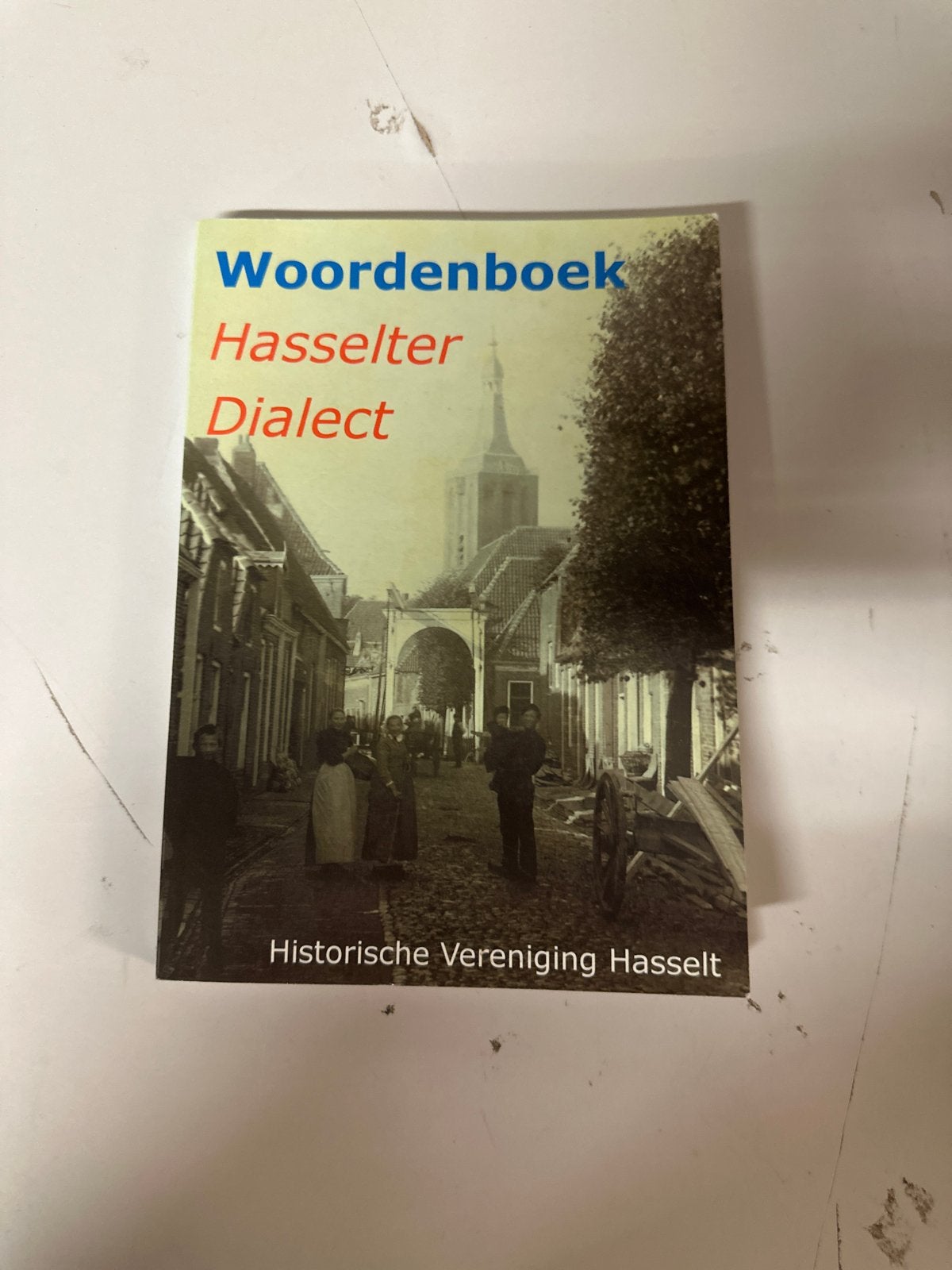 Woordenboek Hasselter Dialect - Historische Vereniging, Ophalen of Verzenden, Zo goed als nieuw, Overige uitgevers, Nederlands