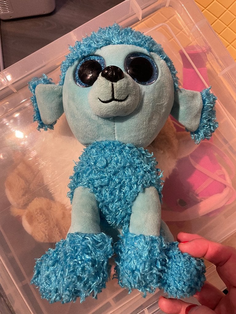 TY plush toy knuffelbeer plush blauwe poedel knuffel hond, Blauw, Zo goed als nieuw, Middelgroot (20 tot 80 cm), Ty
