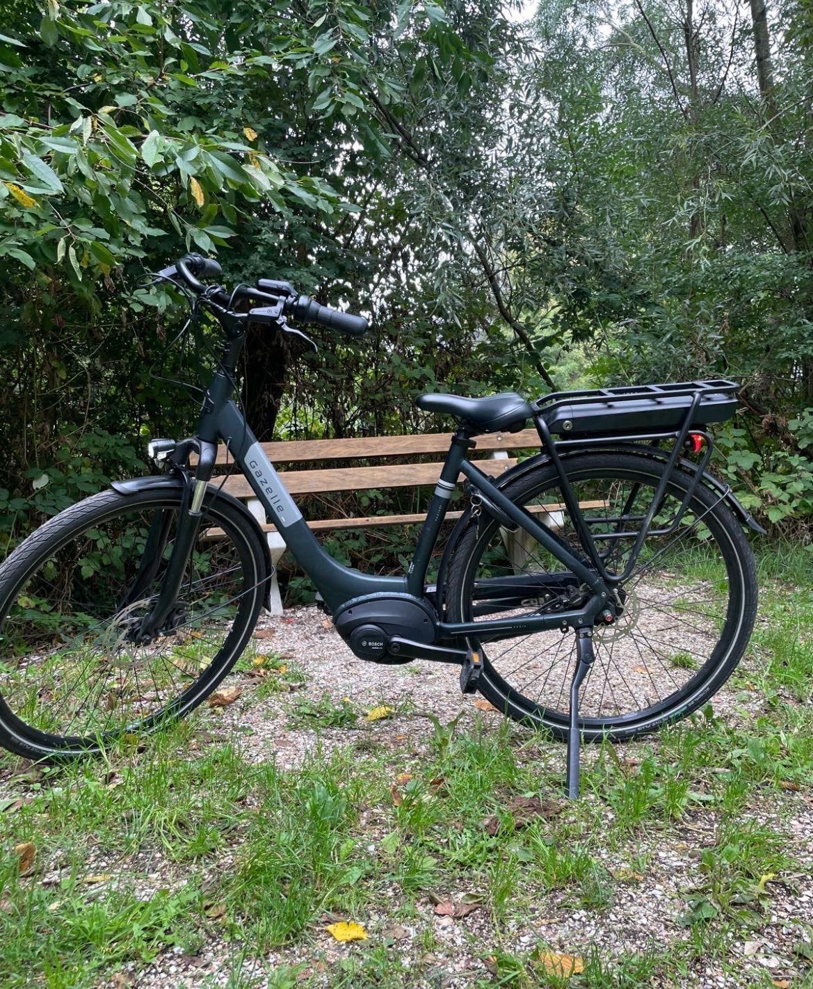 Foto 2 van Gazelle met nieuwe bosch motor
