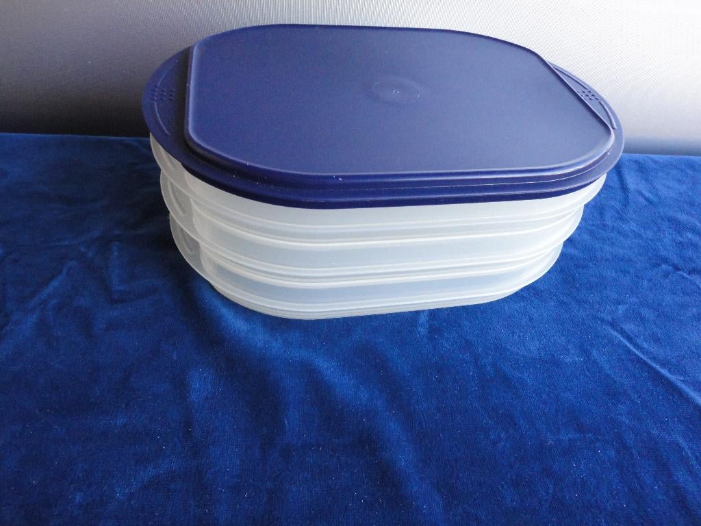 Vleeswarendoos Tupperware, Huis en Inrichting, Keuken | Tupperware, Ophalen of Verzenden, Zo goed als nieuw, Blauw, Schaal