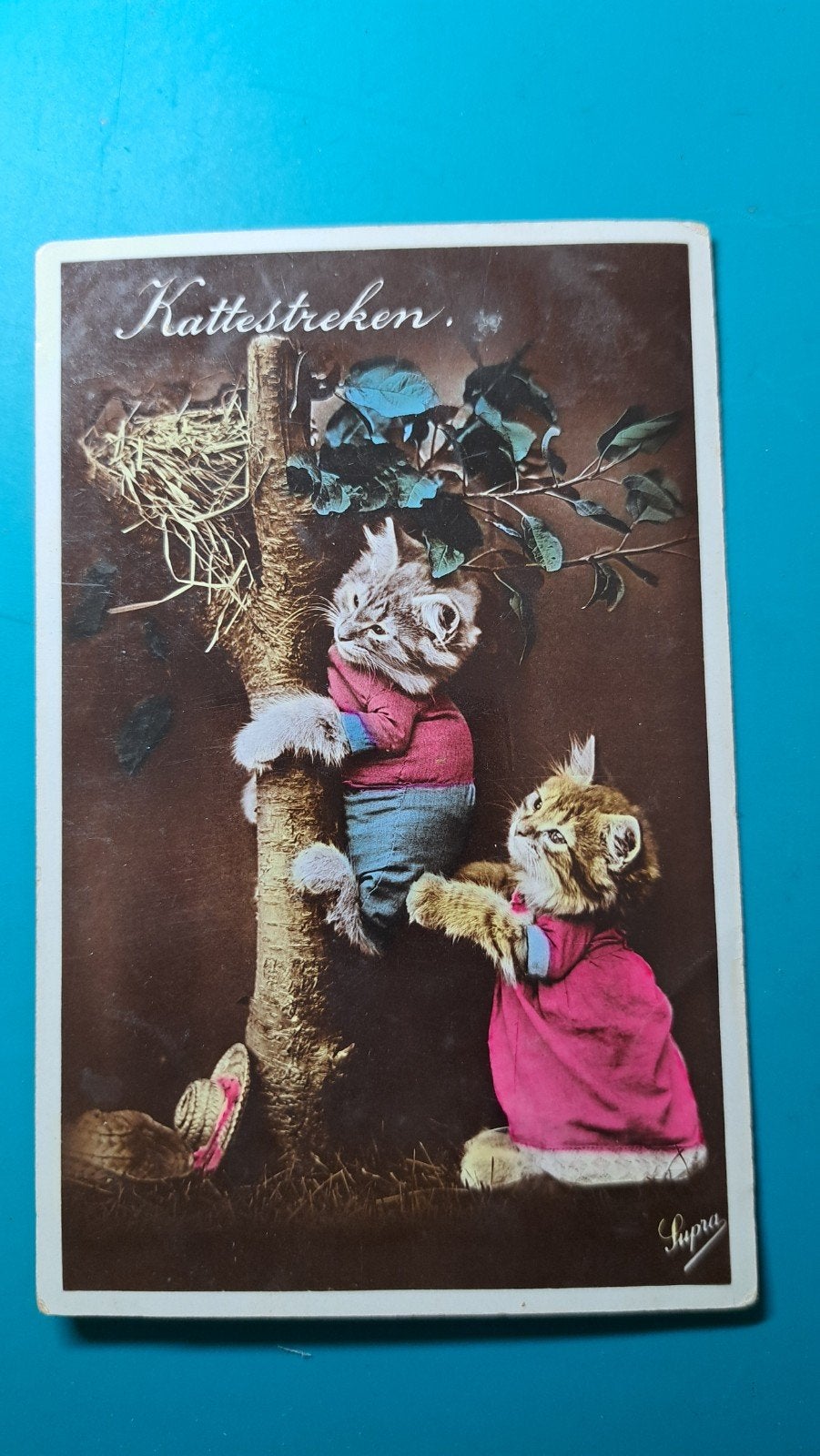 kattestreken kat poes 1931, Ophalen of Verzenden, 1920 tot 1940, Gelopen, Hond of Kat