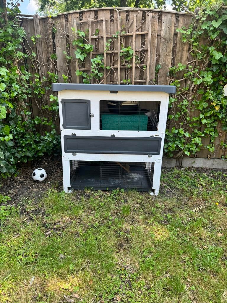 Ferplast dierenverblijf cavia kooi of konijnen kooi, Ophalen, 110 cm of meer, Zo goed als nieuw, 90 cm of meer