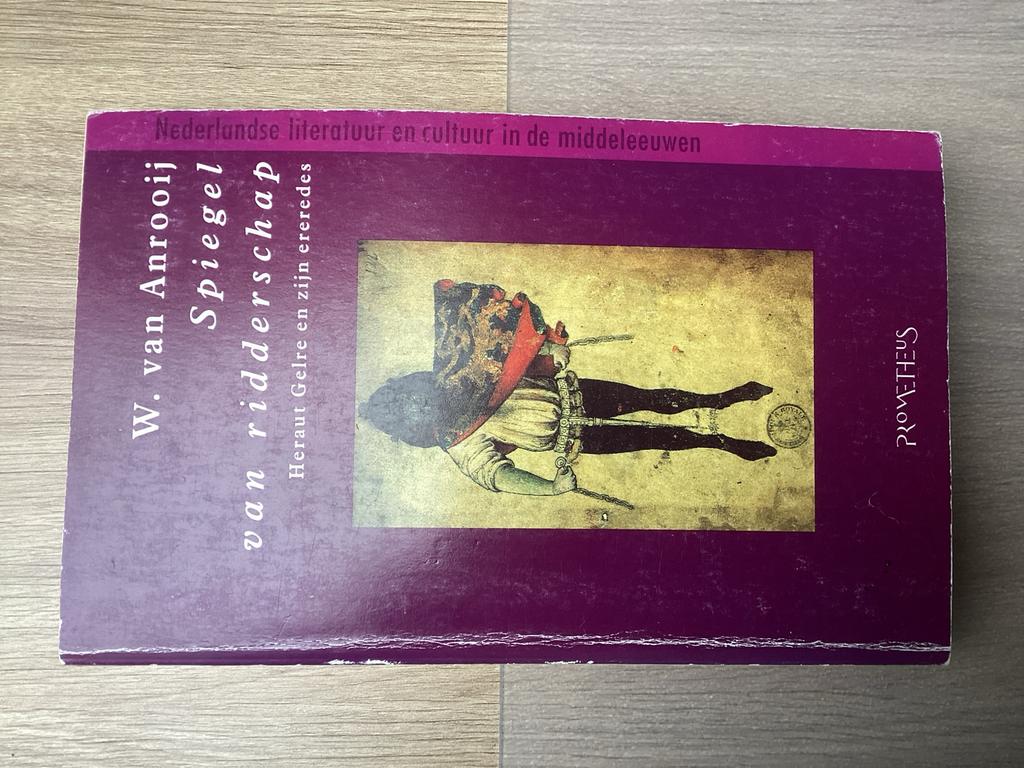 Spiegel van ridderschap - W. van Anrooij, Boeken, Literatuur, Gelezen, Nederland, Ophalen of Verzenden
