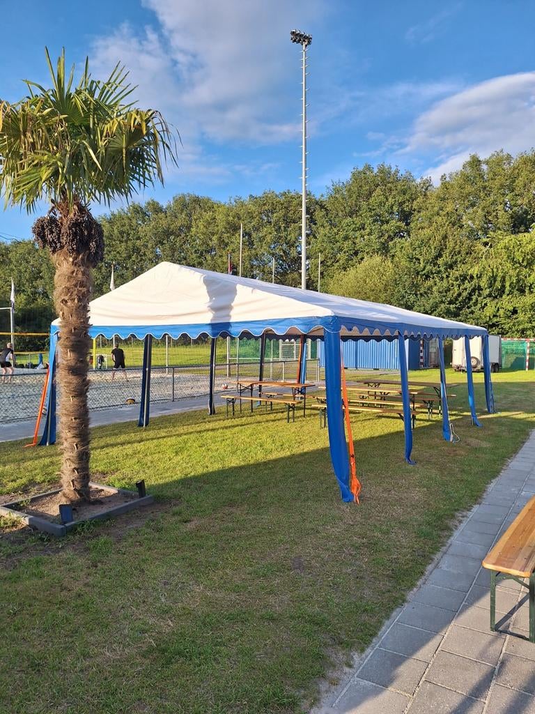 Party tenten Te Huur, Ophalen of Verzenden, 5 tot 8 meter