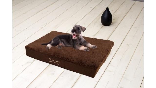 Sun Garden Buddy Orthopedisch Hondenkussen 72x50x8cm bruin, Overige, Nieuw, Ophalen of Verzenden, Sun Garden