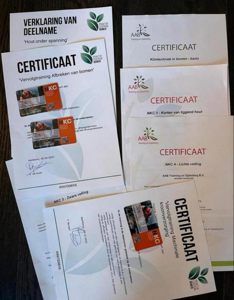 Professioneel bomen kappen/vellen/afbreken/klimmen/stormhout, Diensten en Vakmensen, Tuinmannen en Stratenmakers, Tuinonderhoud of Snoeiwerk