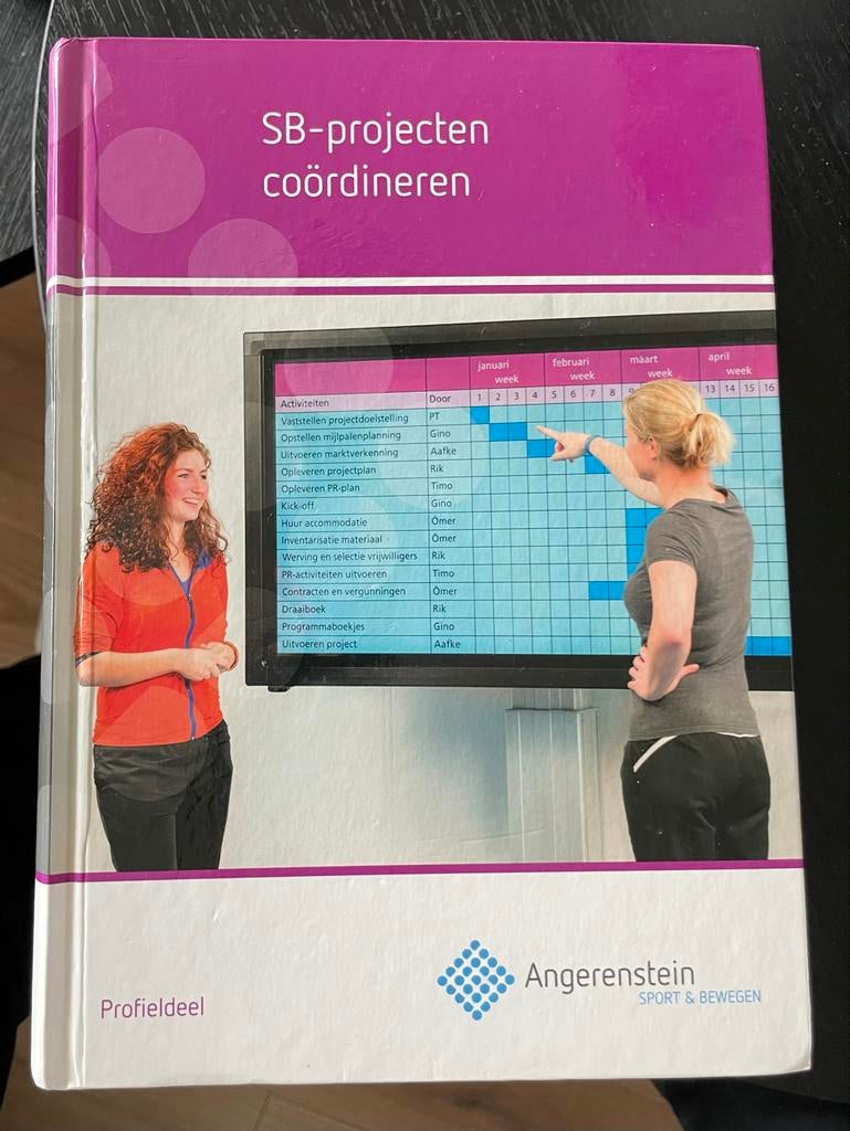 SB-projecten coördineren - Angerenstein, Boeken, Ophalen of Verzenden, Zo goed als nieuw, MBO