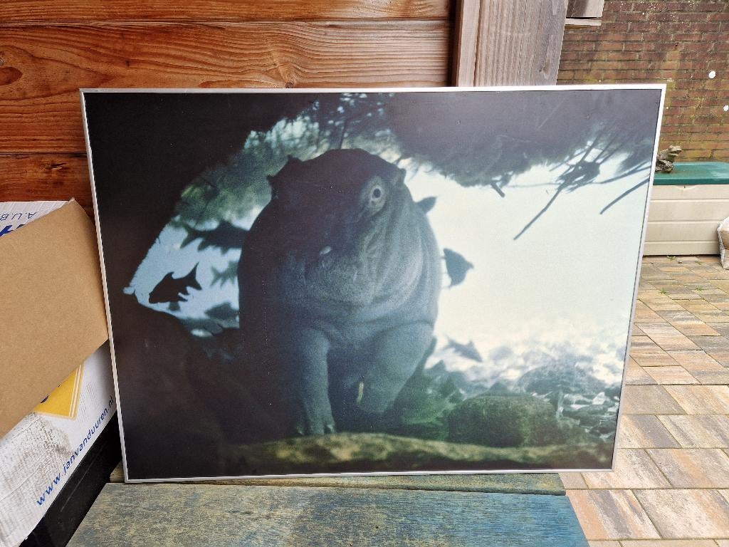 7 lijsten met natuurfoto's (80x60 cm), Huis en Inrichting, Woonaccessoires | Lijsten, Ophalen, Overige materialen, Gebruikt, 50 tot 75 cm