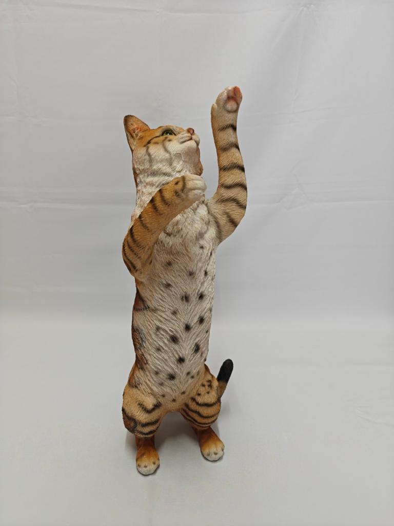 Kater staand, poes, kat, Wildlife, Ophalen of Verzenden, Nieuw, Dier