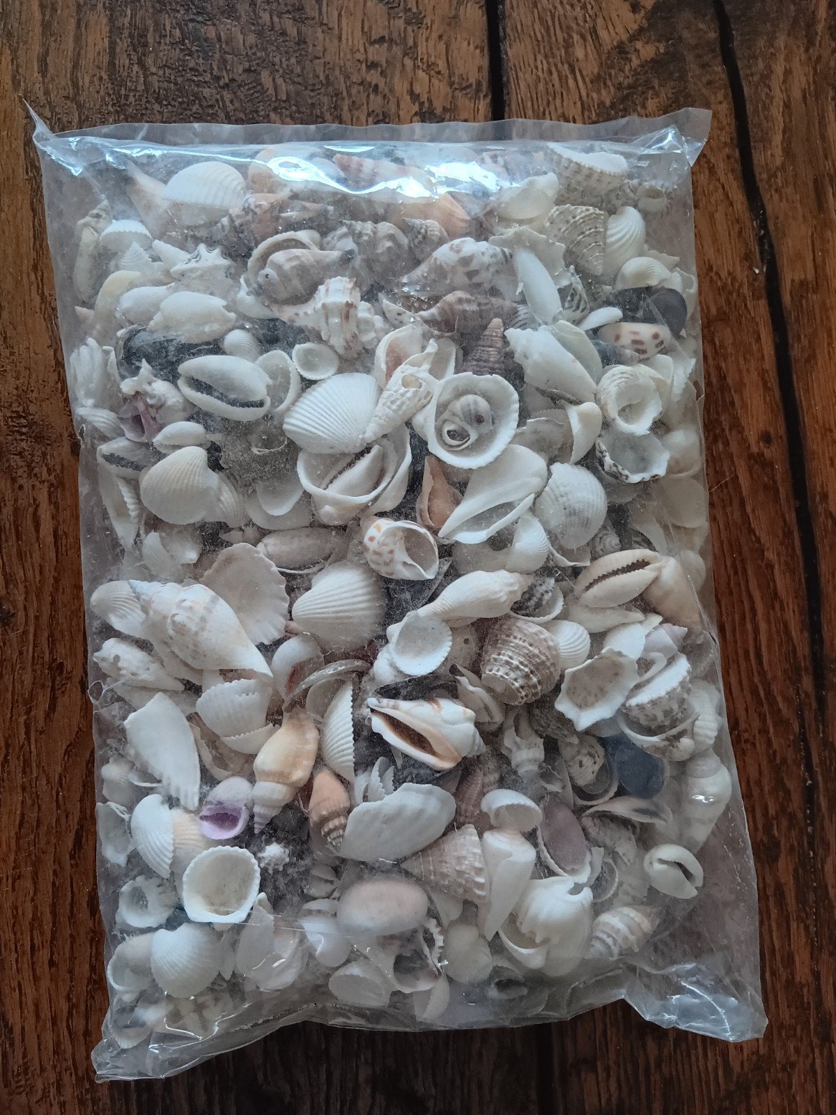 Zak met diverse schelpen 1 kilo, Ophalen of Verzenden, Schelp(en)