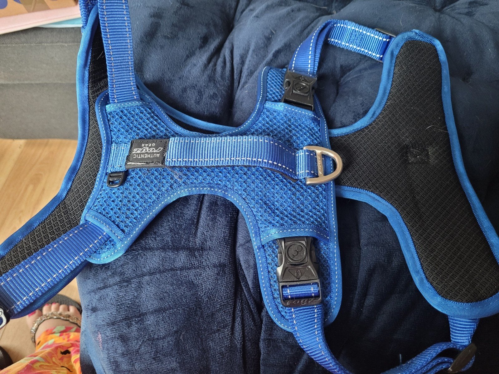 Rogz explore y honden tuig harnas blauw xl, Ophalen of Verzenden, Zo goed als nieuw, Hondenriem