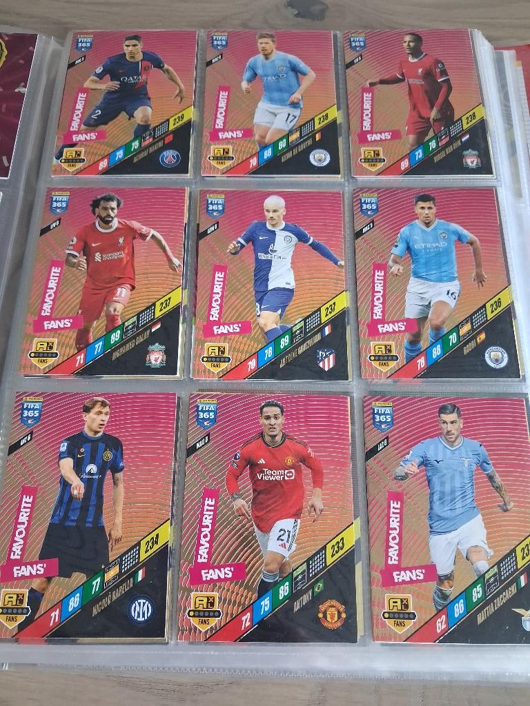 Panini 2024 favourite fans, Ophalen of Verzenden, Zo goed als nieuw, Plaatje