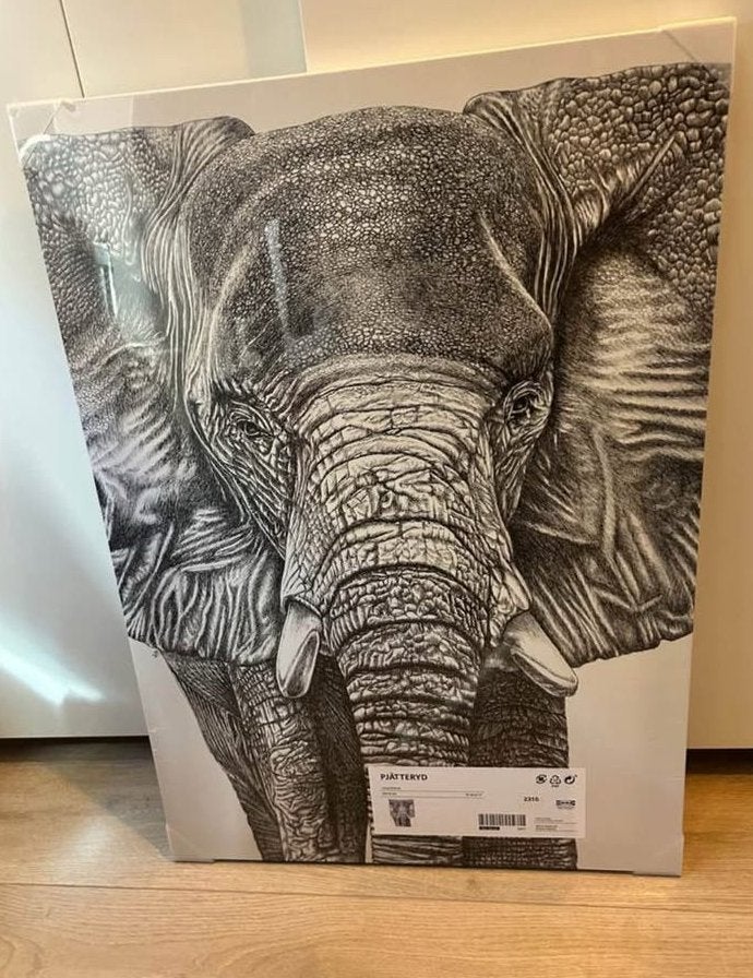 Olifant canvas nieuw, Ophalen
