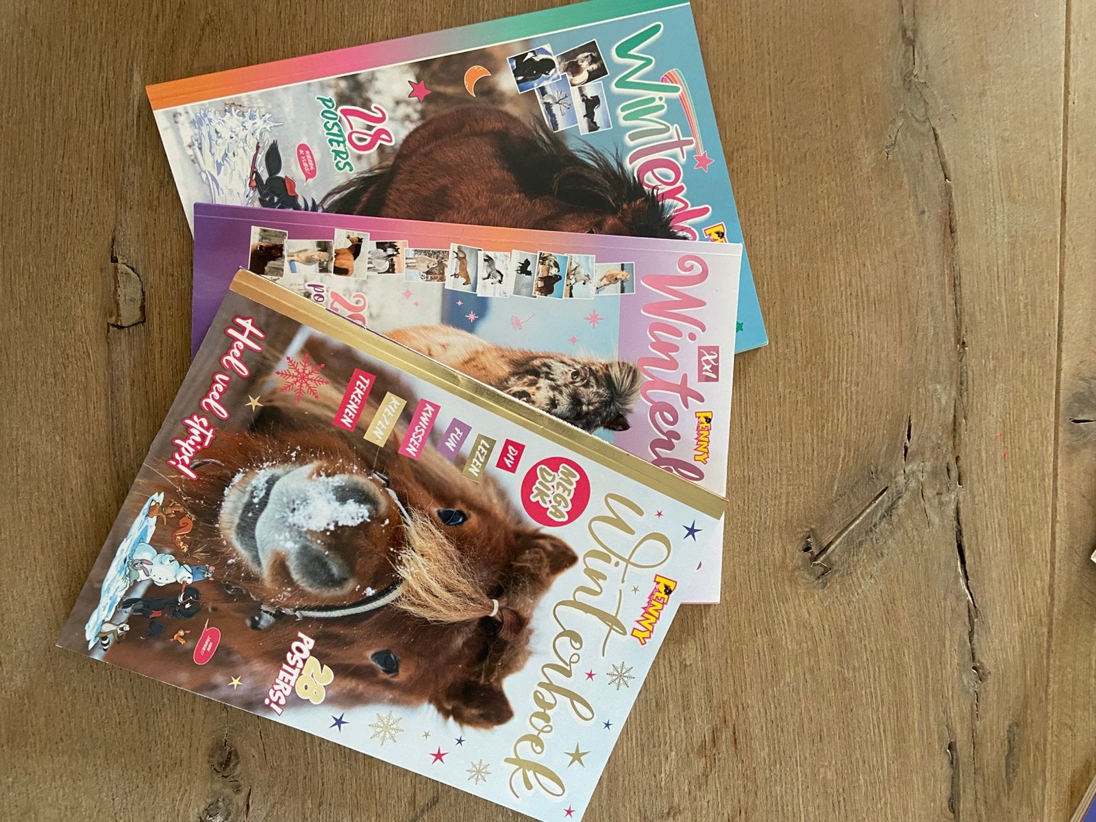 Penny seizoensboek, Ophalen of Verzenden, Zo goed als nieuw, Overige typen
