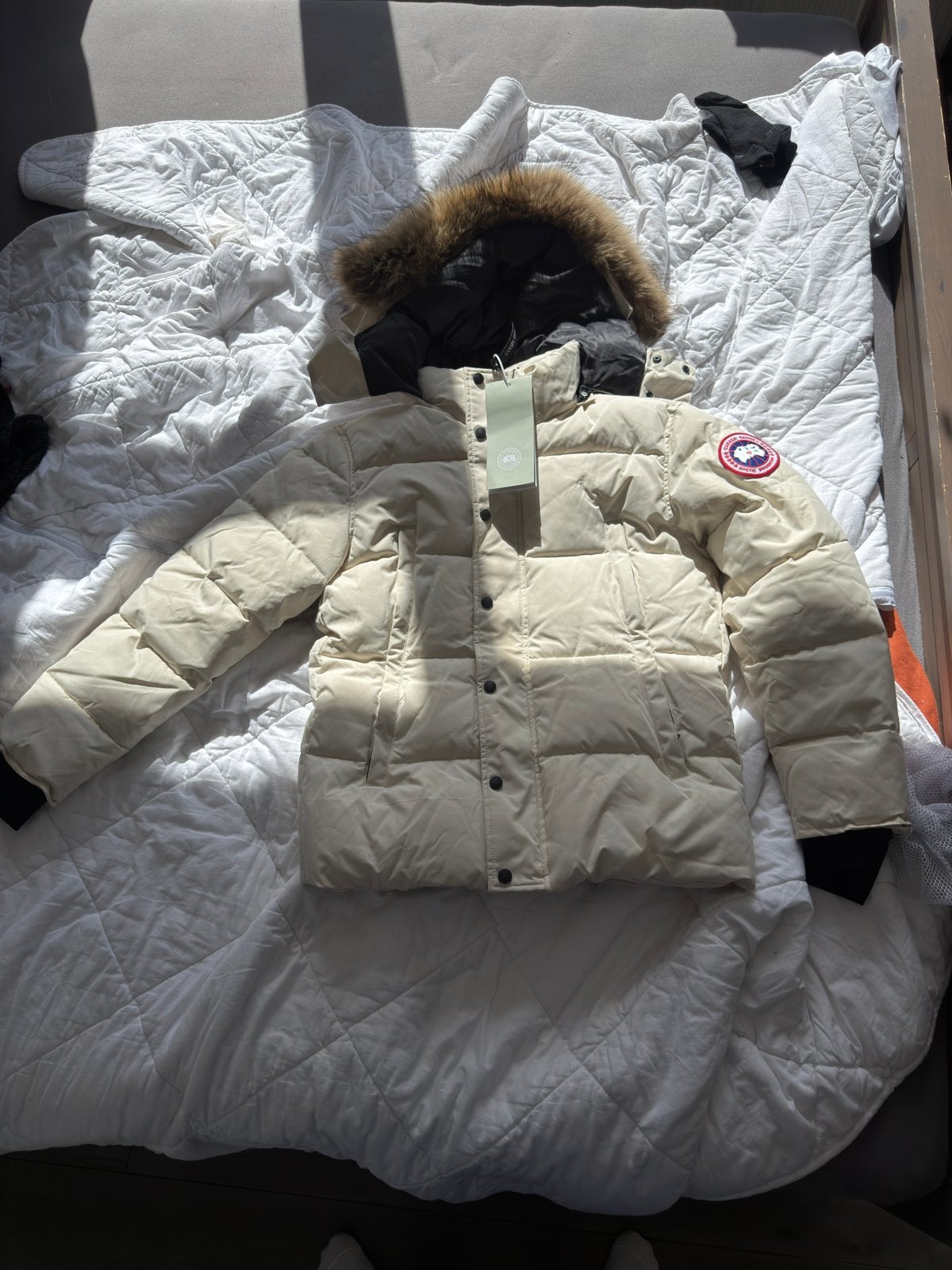 Canada goose maat m, Ophalen of Verzenden, Zo goed als nieuw, Zwart