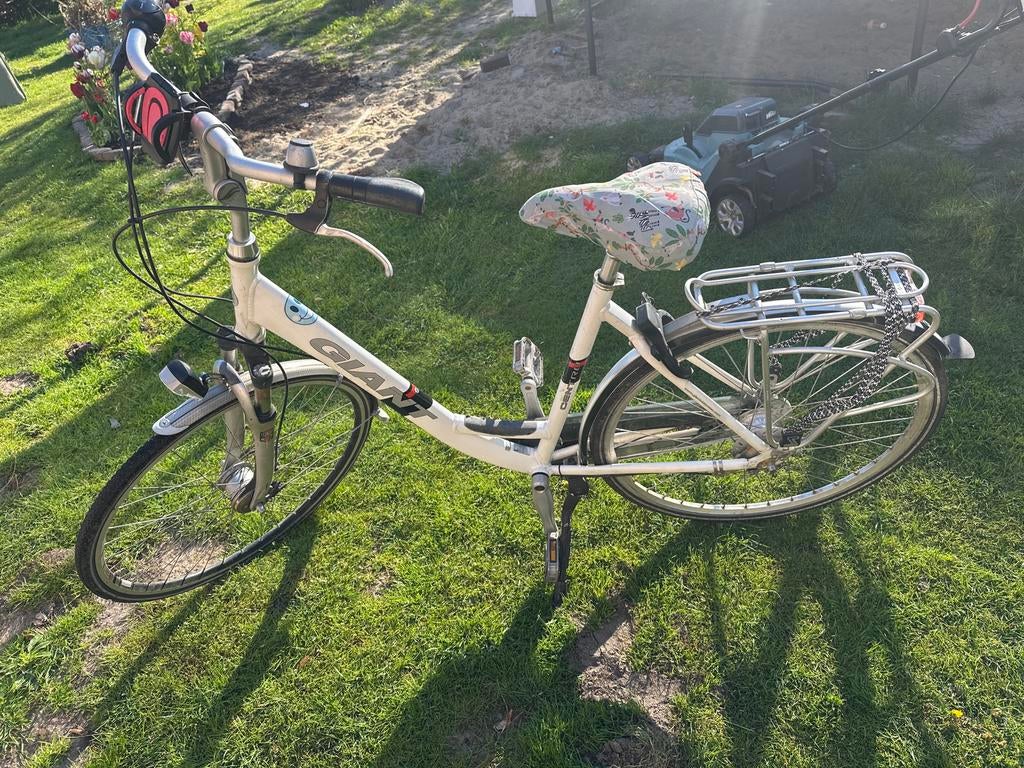 Giant Centro damesfiets - Wit, lage instap, Ophalen, Velgrem, Giant, 53 tot 56 cm