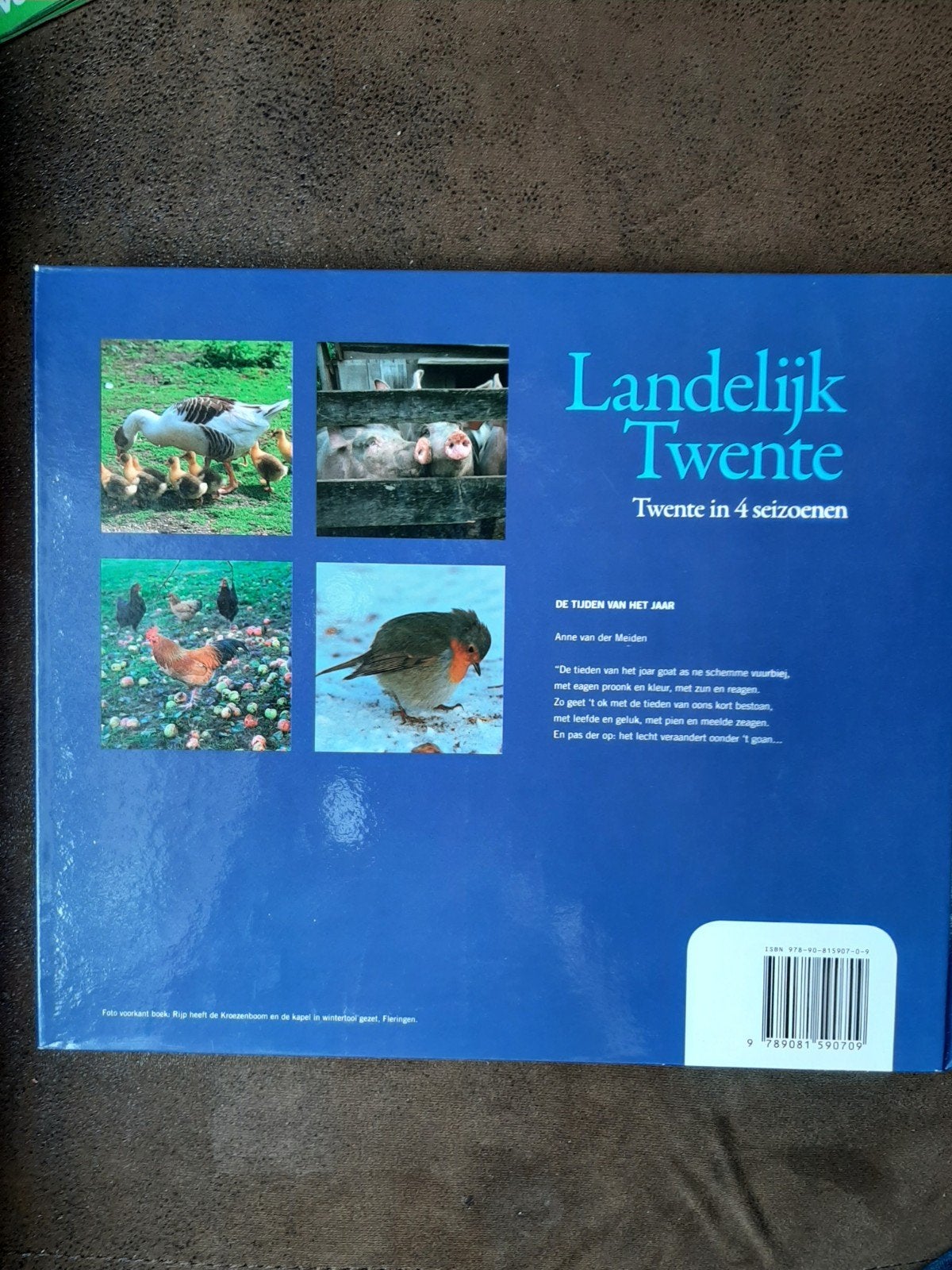 Landelijk Twente: Twente in 4 seizoenen - Henk Frons, Ophalen of Verzenden, Zo goed als nieuw, Wandel- of Recreatiegebieden, Henk Frons