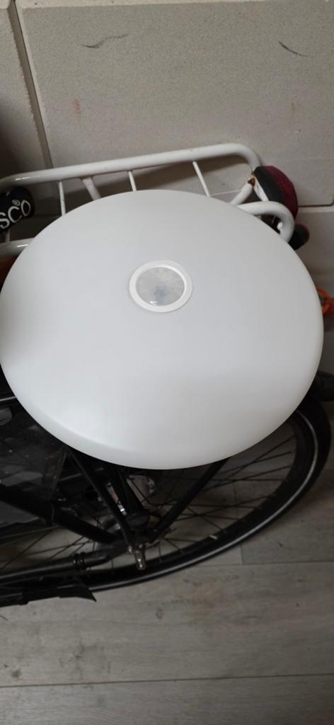 Plafondlamp op sensor Philips, Ophalen