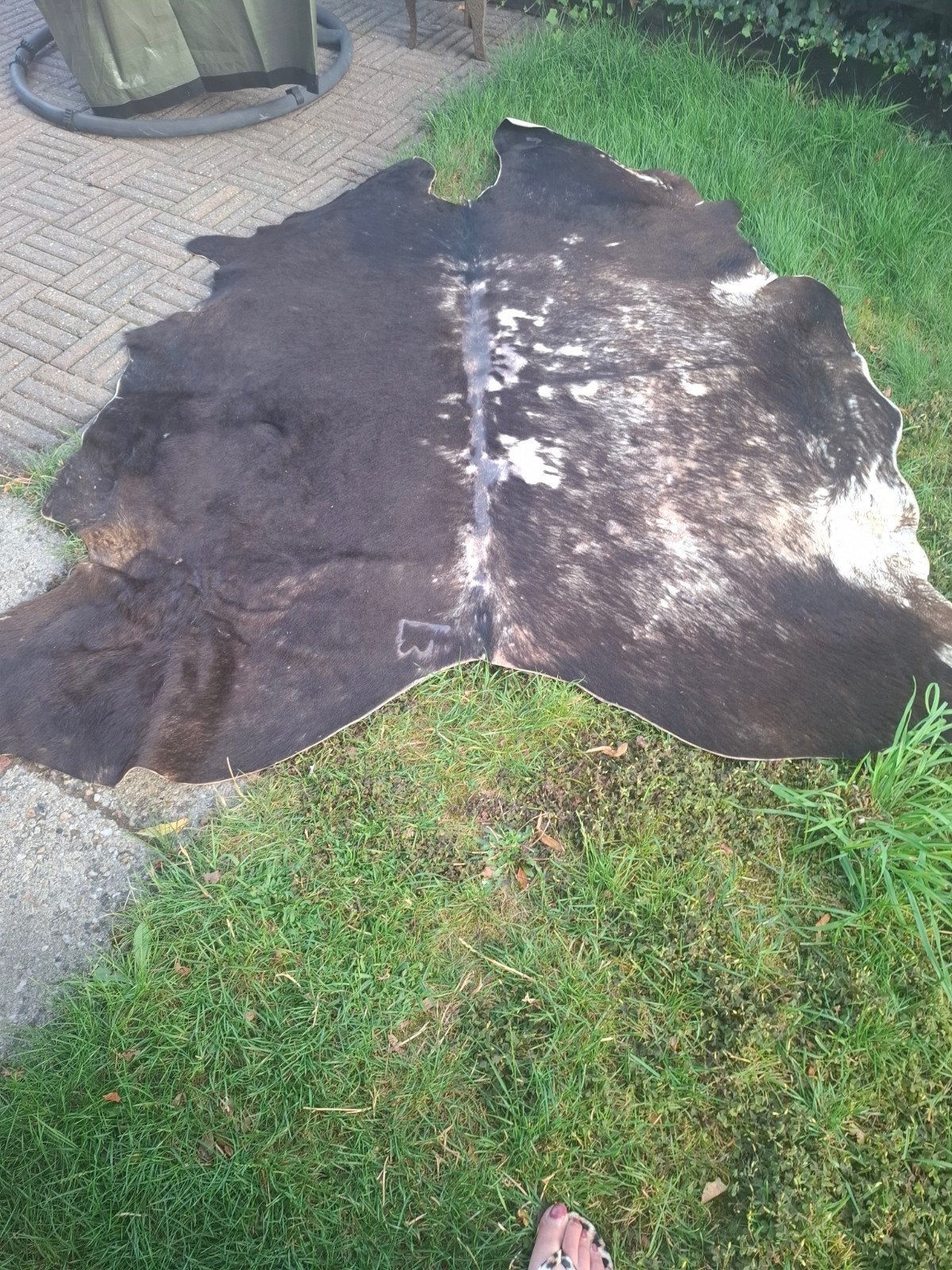 koeienhuid vloerkleed echte brandmerk, Ophalen, 150 tot 200 cm, Rechthoekig, Bruin