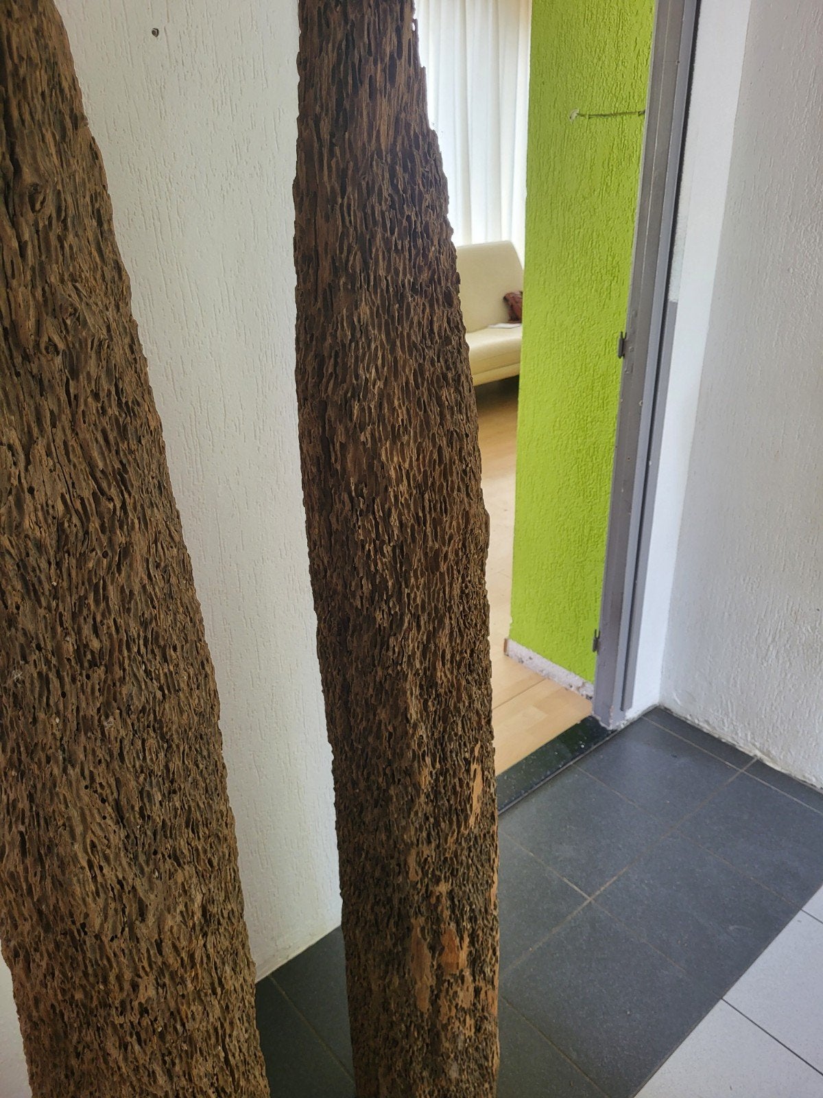 leuke stamgedeelte palmboom als decoratie, Huis en Inrichting, Woonaccessoires | Zuilen en Pilaren, Ophalen, Gebruikt