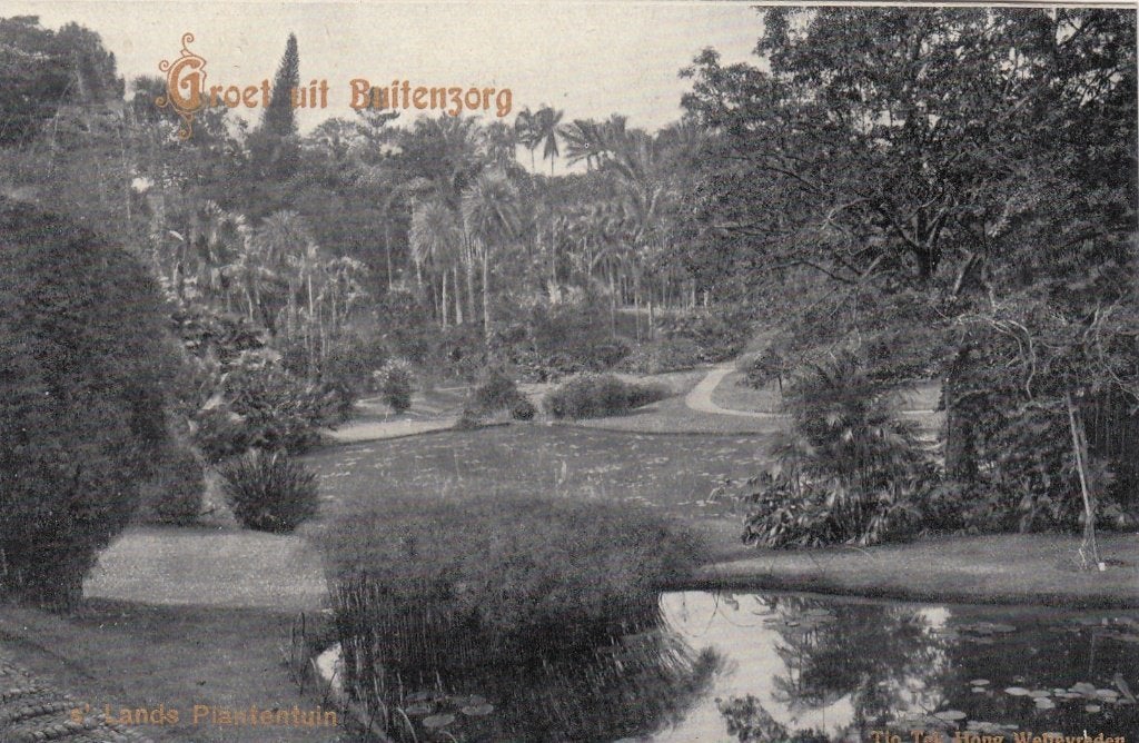 Ned.Indie - Buitenzorg (IV), Verzamelen, Verzenden, 1920 tot 1940, Ongelopen, Buiten Europa