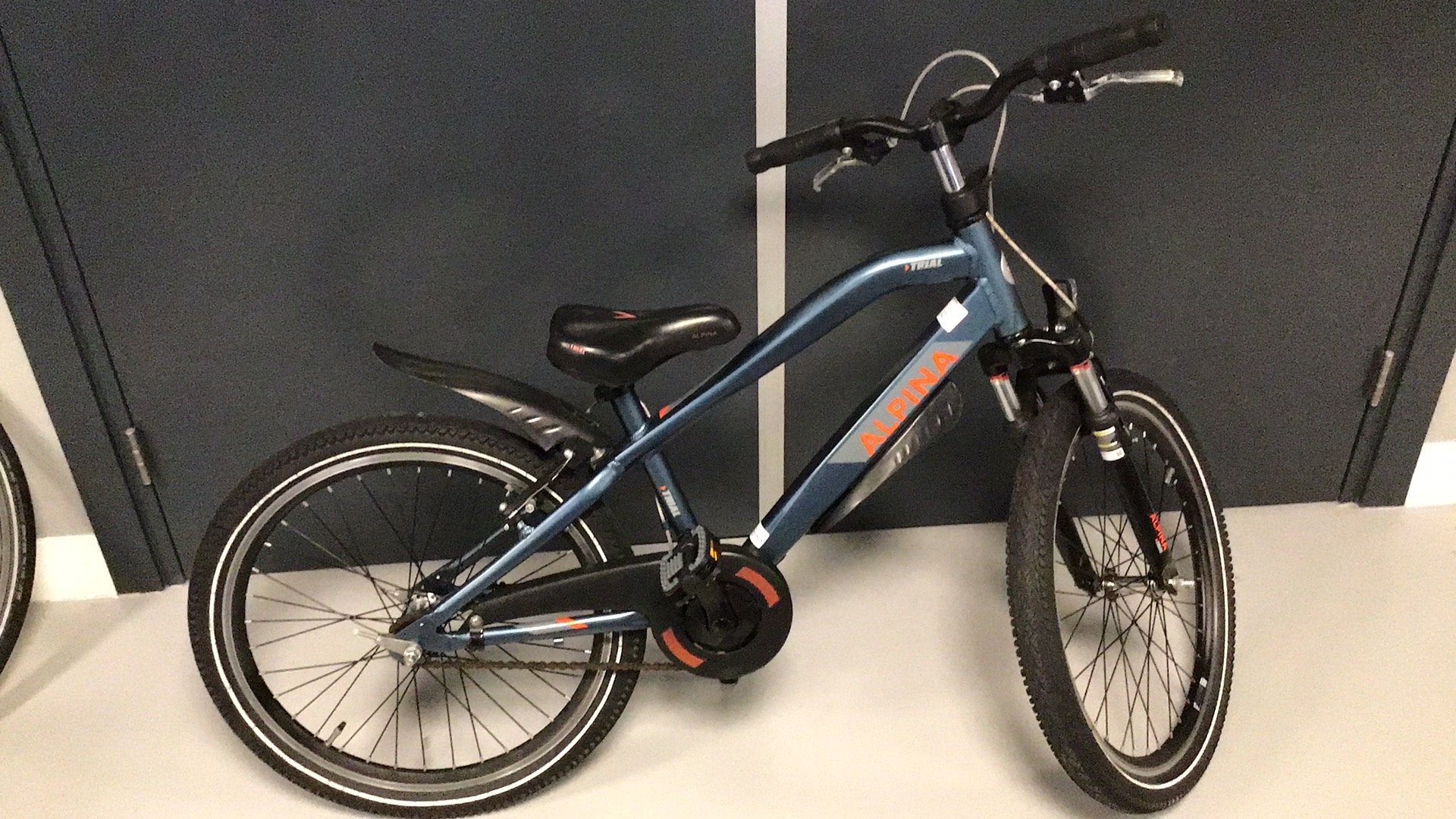 Mooie Alpina Trial jongensfiets, Ophalen, Zo goed als nieuw, 22 inch